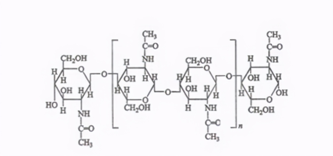 如果苍蝇和蚊子都灭绝了会发生啥,苍蝇消失会对地球有什么后果