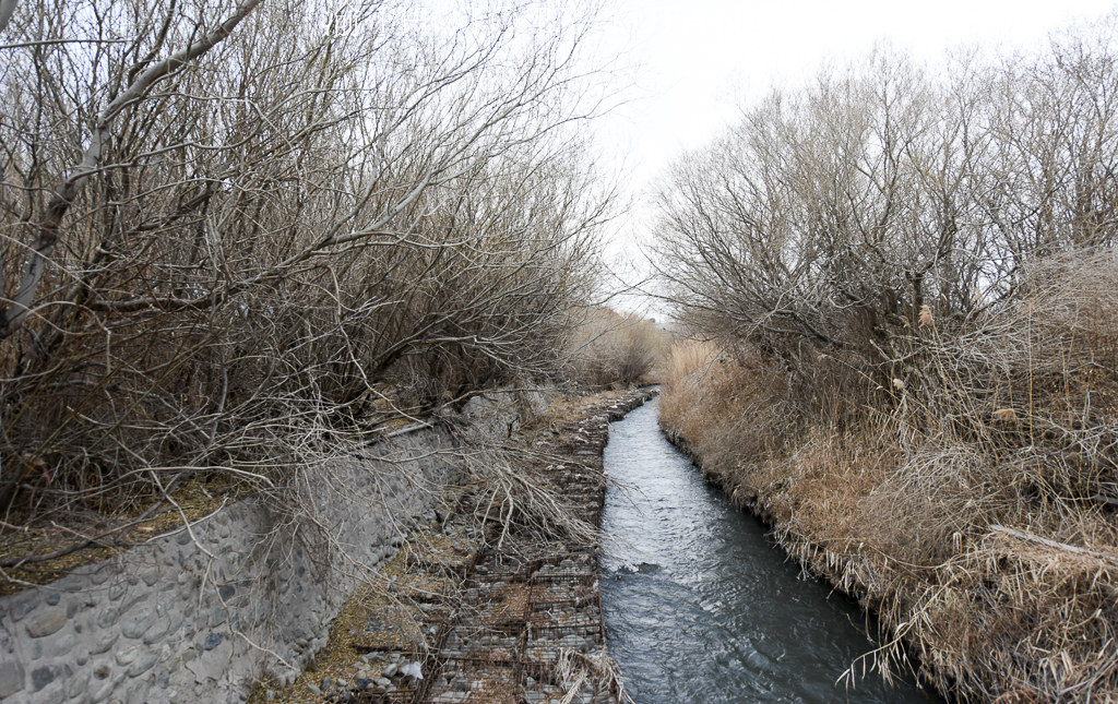 达坂城的姑娘背后的故事,达坂城的姑娘风景视频