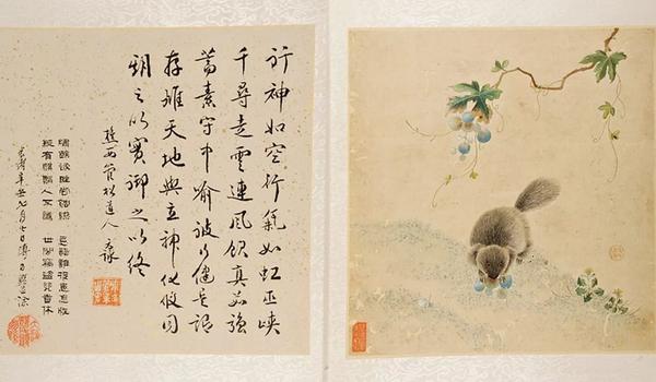 藏金和藏绣哪个好看,藏绣价格一般多少