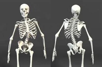 矫正体态腰椎侧弯,怎么预防腰椎侧弯