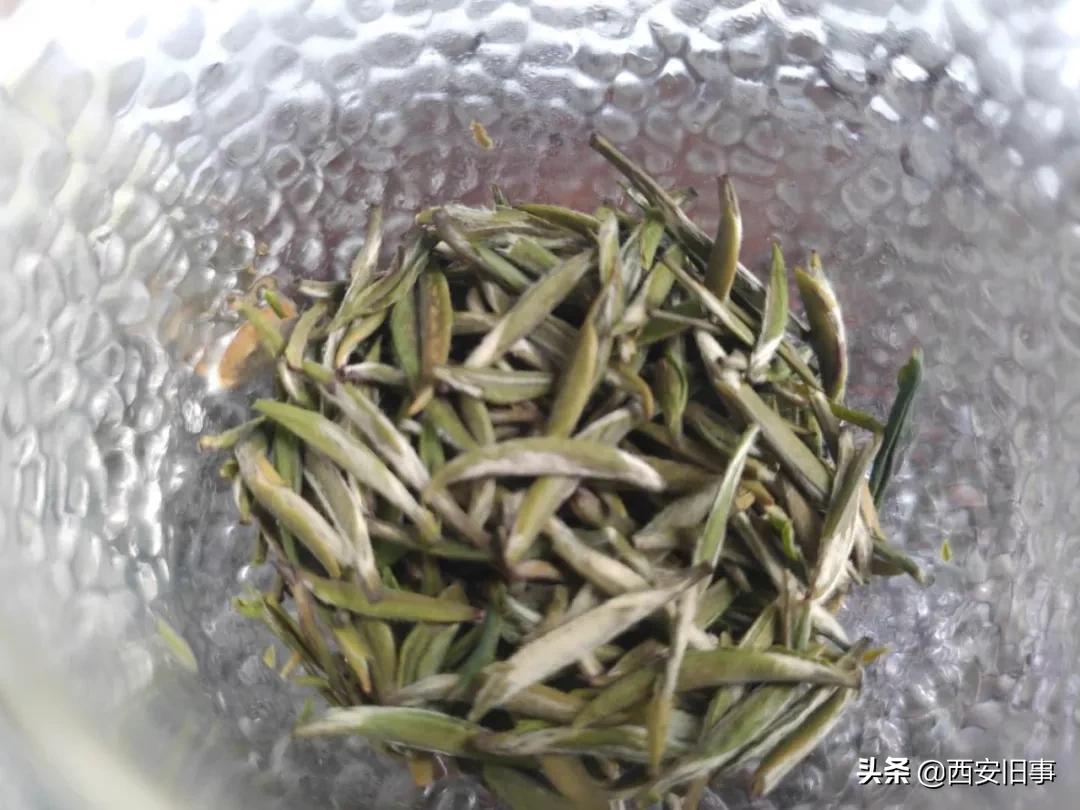 无拙庄主简介,无拙