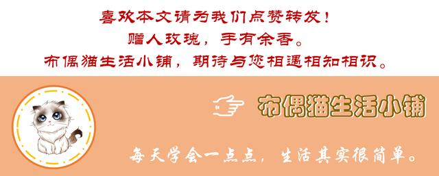 最近很火的网红单品,2018网红热卖产品