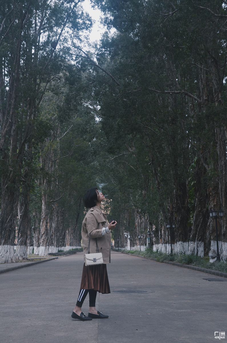 广州简约高级的拍照地方,广州免费室内拍照地方推荐