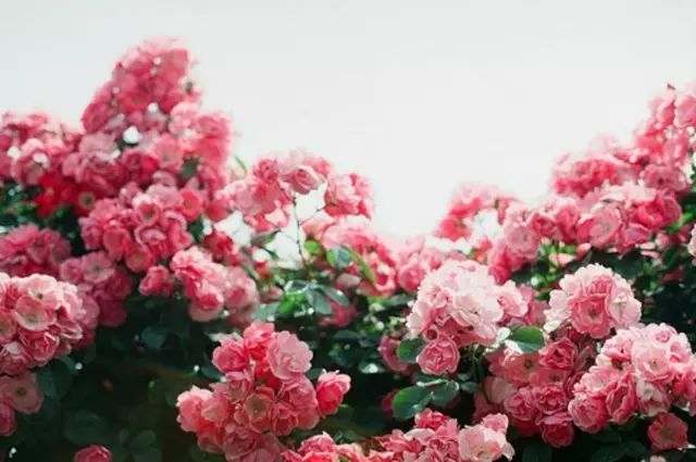 人生6句话渡人渡己句句在理,渡己亦渡人语录