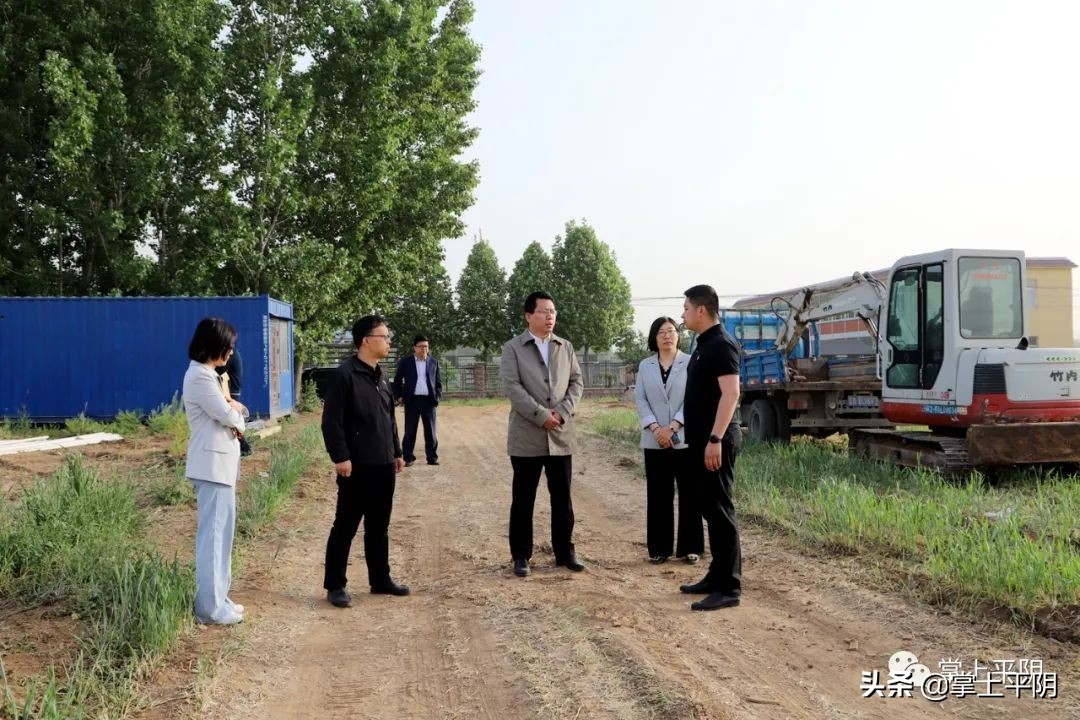 平阴新闻|我县入选全省乡镇政府服务能力建设典型培育单位；玫瑰花价格公示