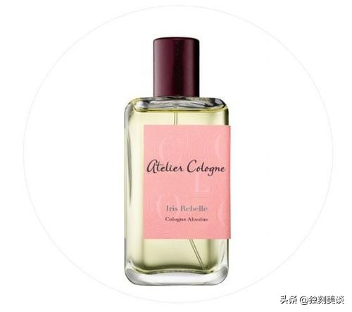 夏日必备小众好物分享,4个冷门小众好物