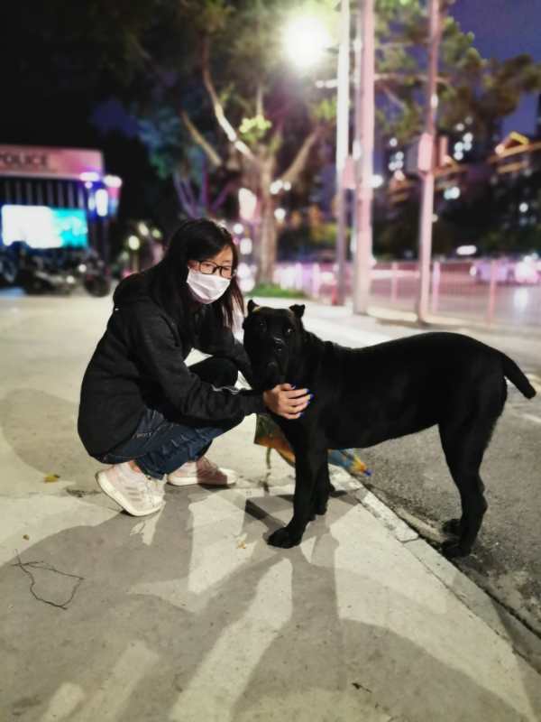 拉鼓带刀护卫,宝哥带刀护卫