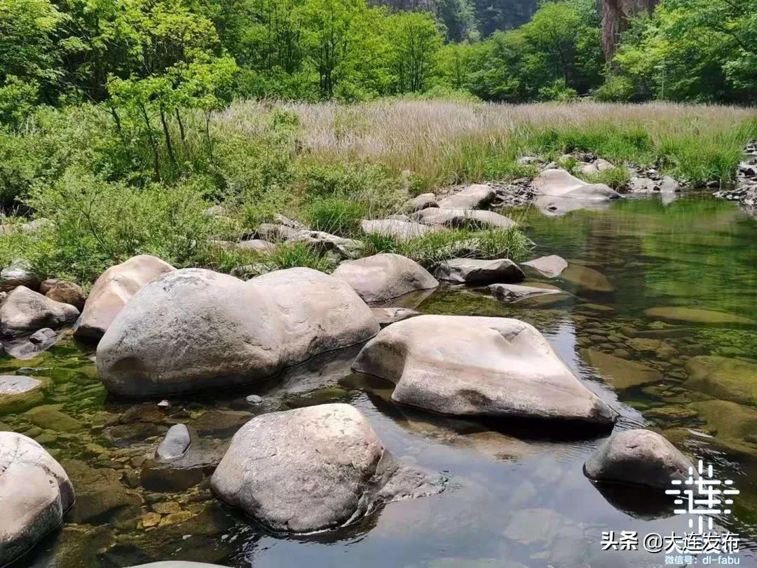 大连最美赏槐露营地,槐之乡露营地