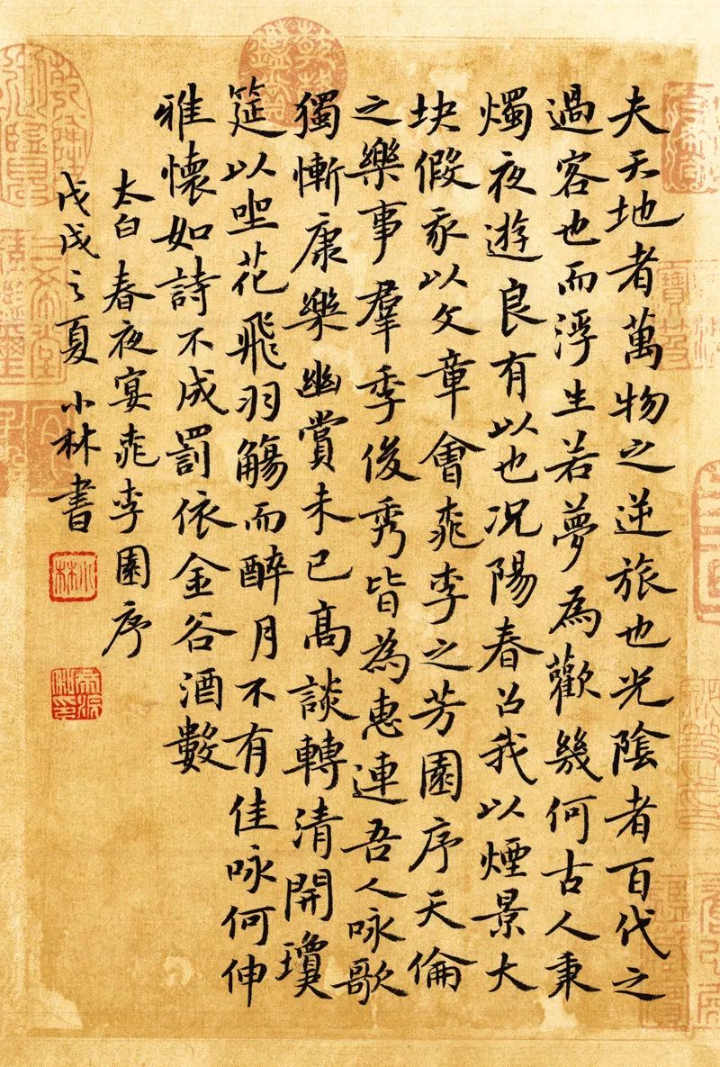 一年级作文放学和同学一起回家,放学回家后遇到感动的事情作文