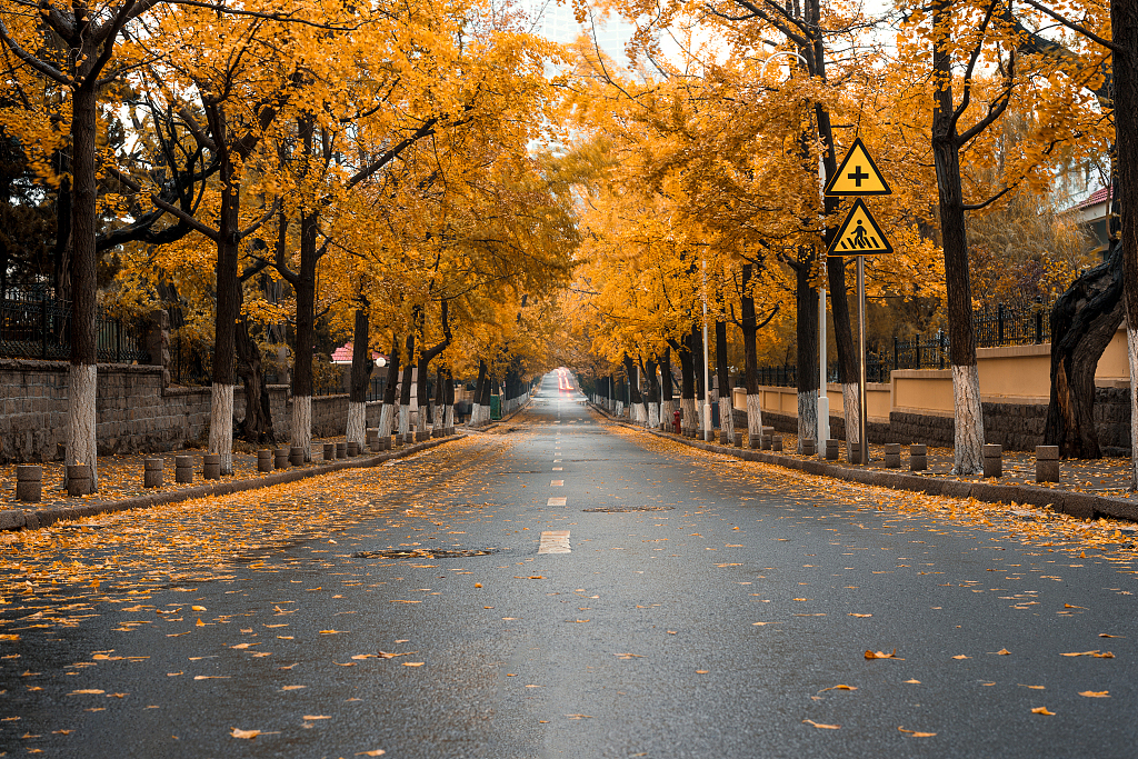 青岛必去的三大景点,青岛旅游必去景点排名
