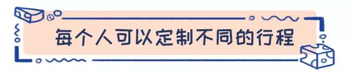 荷兰结婚旅游攻略,荷兰旅游的玩法