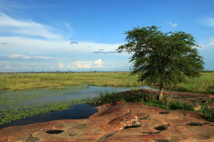 乌干达gdp怎么样,东非国家gdp