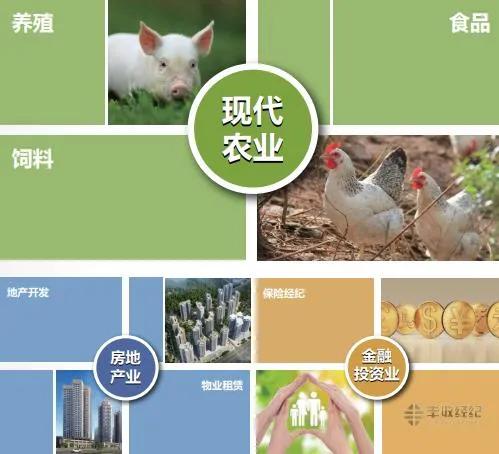 60岁女董事长法院一审判无罪，“农牧第一股”易主后已改头换面