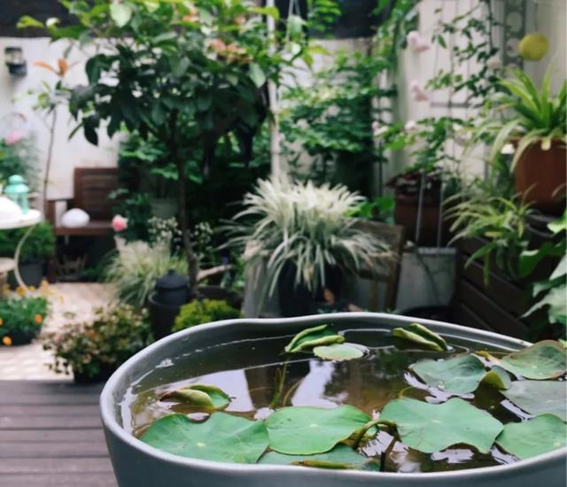 改造上海一家三口27平老房,小夫妻改造上海老房子装修40多万