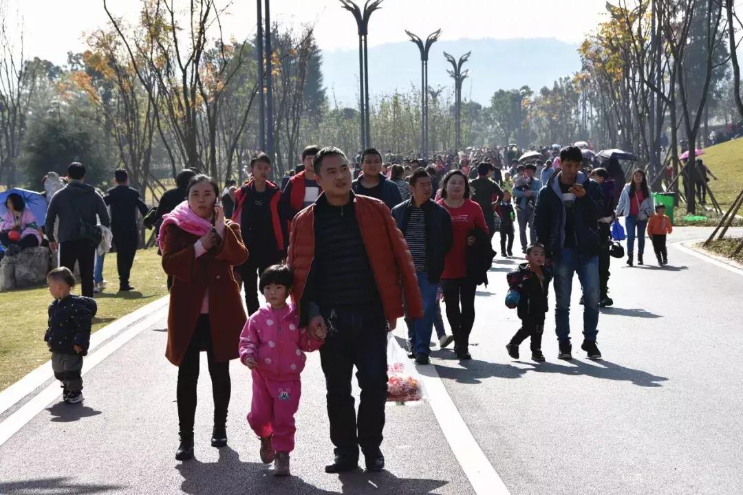 打卡金海湖湿地公园,金海湖湿地公园一日游攻略