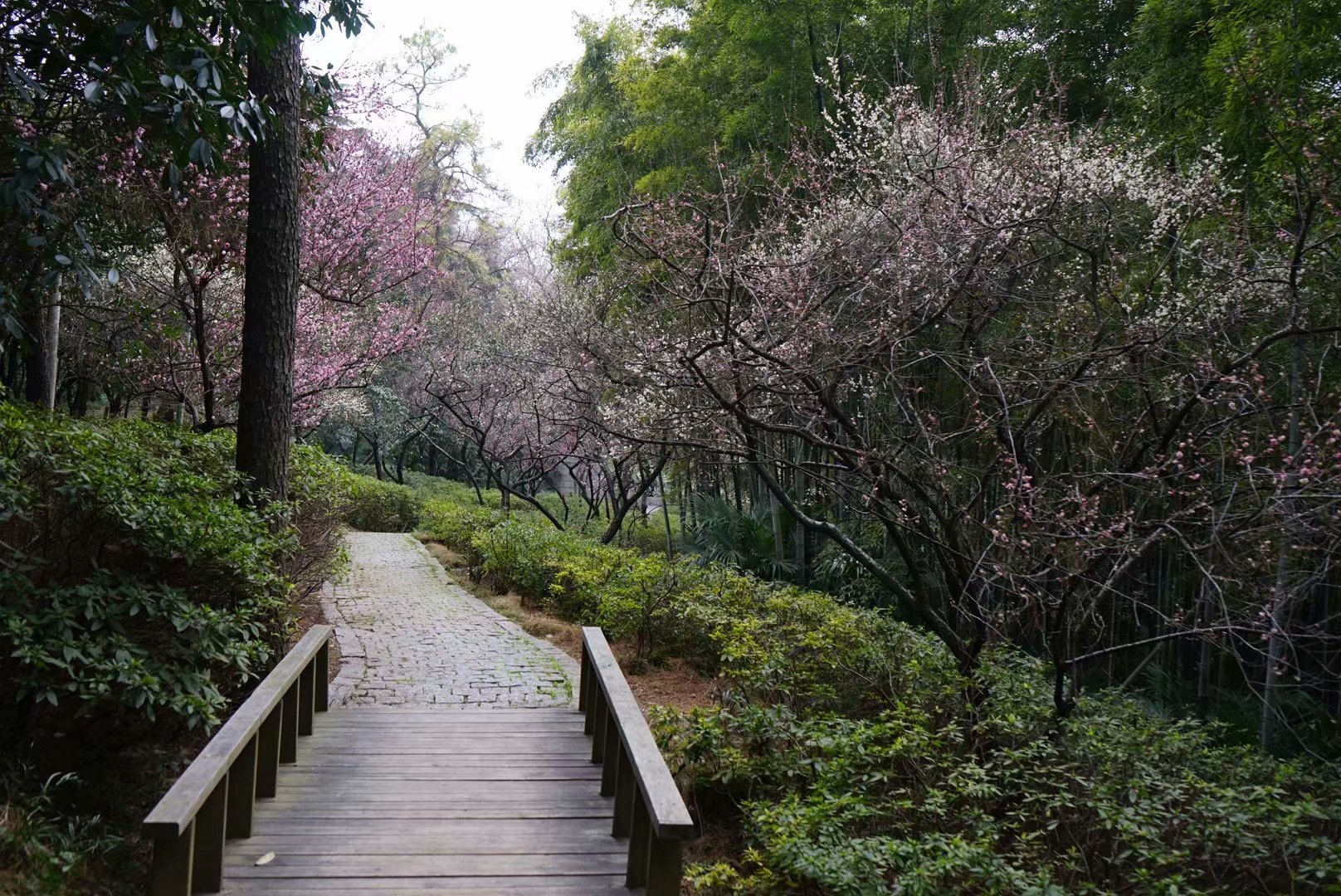 随笔在风华正茂的日子里迷途知返,随笔每一个孩子都值得期待