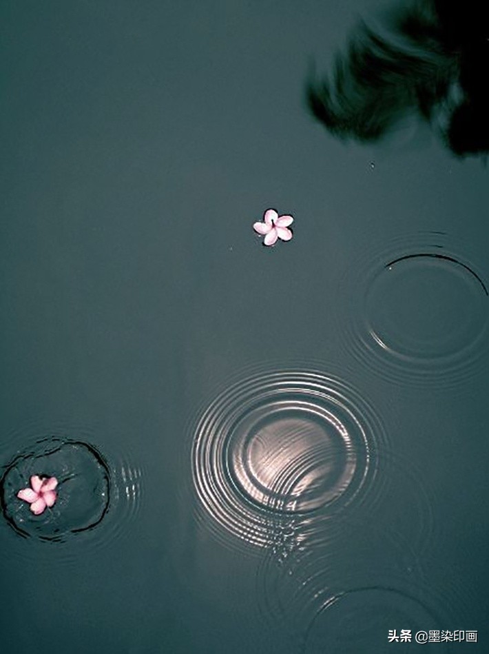 清明节拍摄风景图片,清明节全家踏青照片如何拍摄