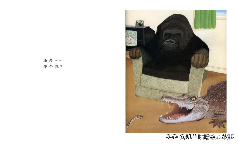 安东尼布朗儿童绘本合集,安东尼布朗出品的绘本有哪些