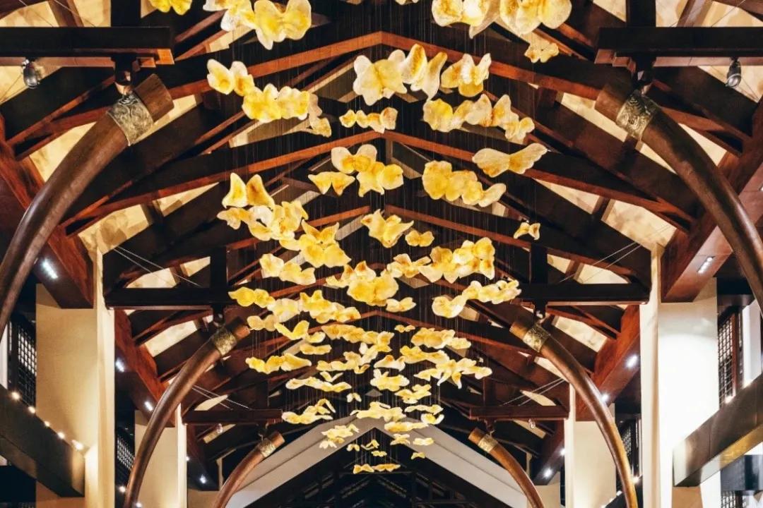 出发四季如春之地昆明,云南昆明攻略冬天