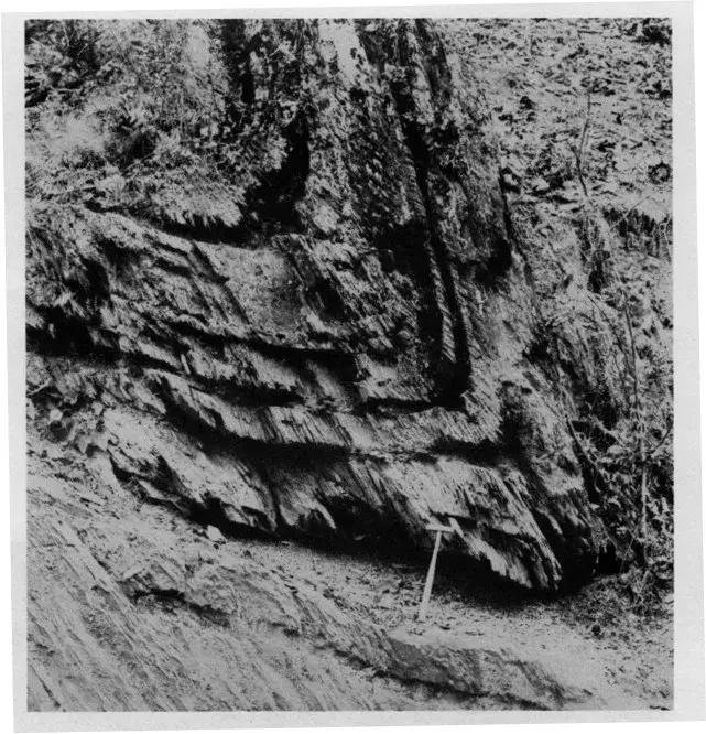 地质知识大全及讲解,地质知识大全讲解