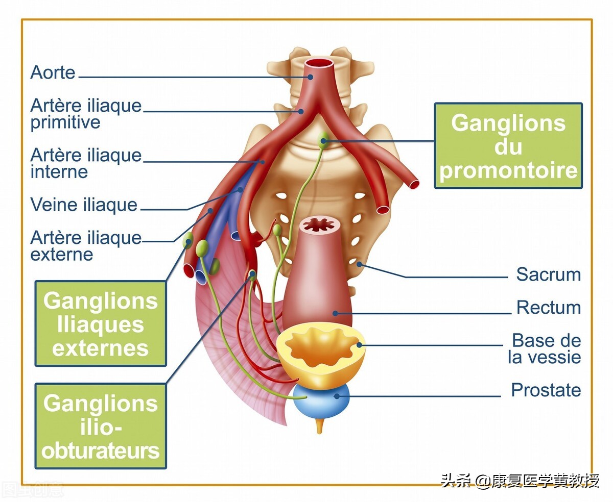 身为女人，你知道哪些肌肉对妳很重要呢？