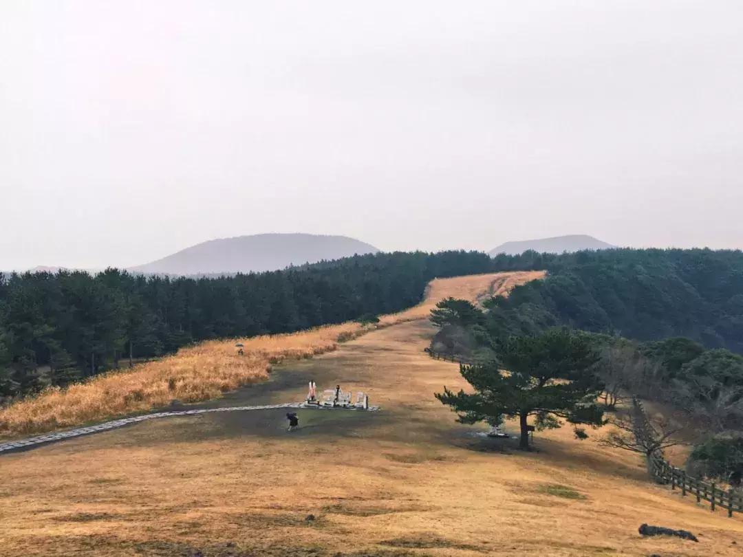 济州岛小清新旅游攻略,济州岛冬日街景