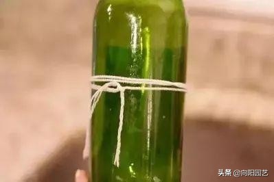 切酒瓶做花盆养多肉看效果,自制酒瓶多肉花盆如何造型