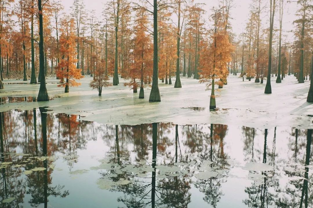 武汉11月打卡景点和网红地,武汉50个值得打卡的地方