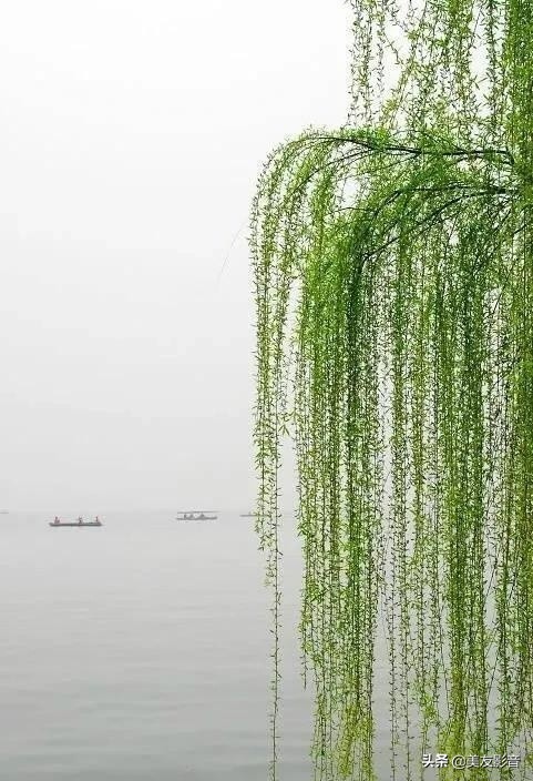 语文拓展100个容易被误用的成语,100个最常被误用的成语行测必备