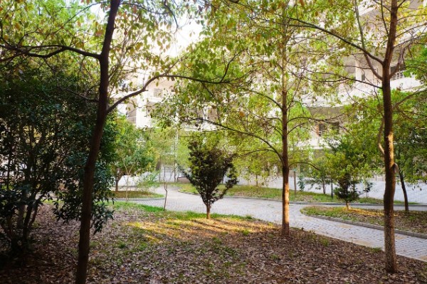 巴中市第四中学西华山春游,春游高一