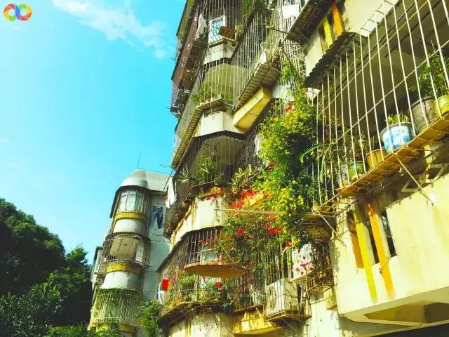 从平安路到桃园路的旧街，独属于老香洲的记忆