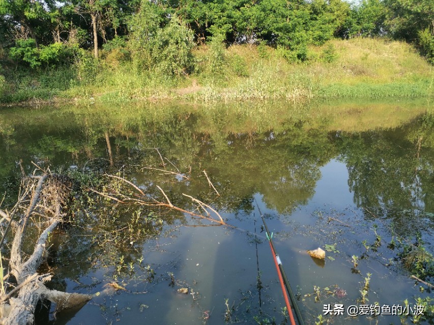 几十元买的路亚竿质量测试,几十元买到好的国产鱼竿