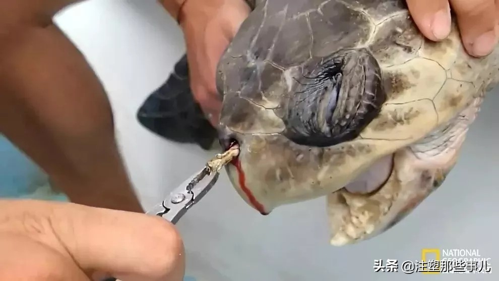 塑料材质吸管,塑料吸管使用现状和改变