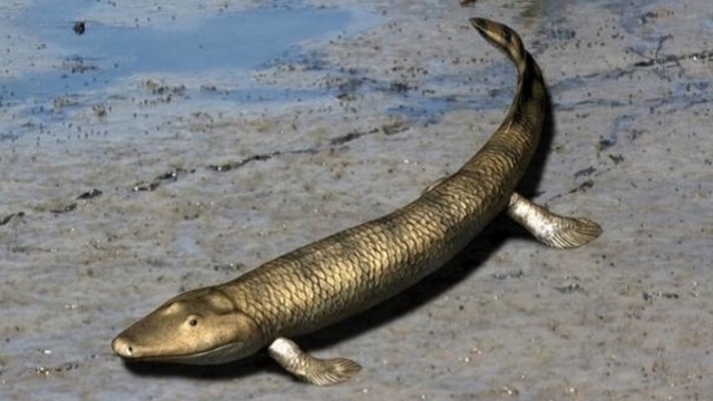 从科学的角度讲人是什么生物,人是怎么来的科学家给出了答案