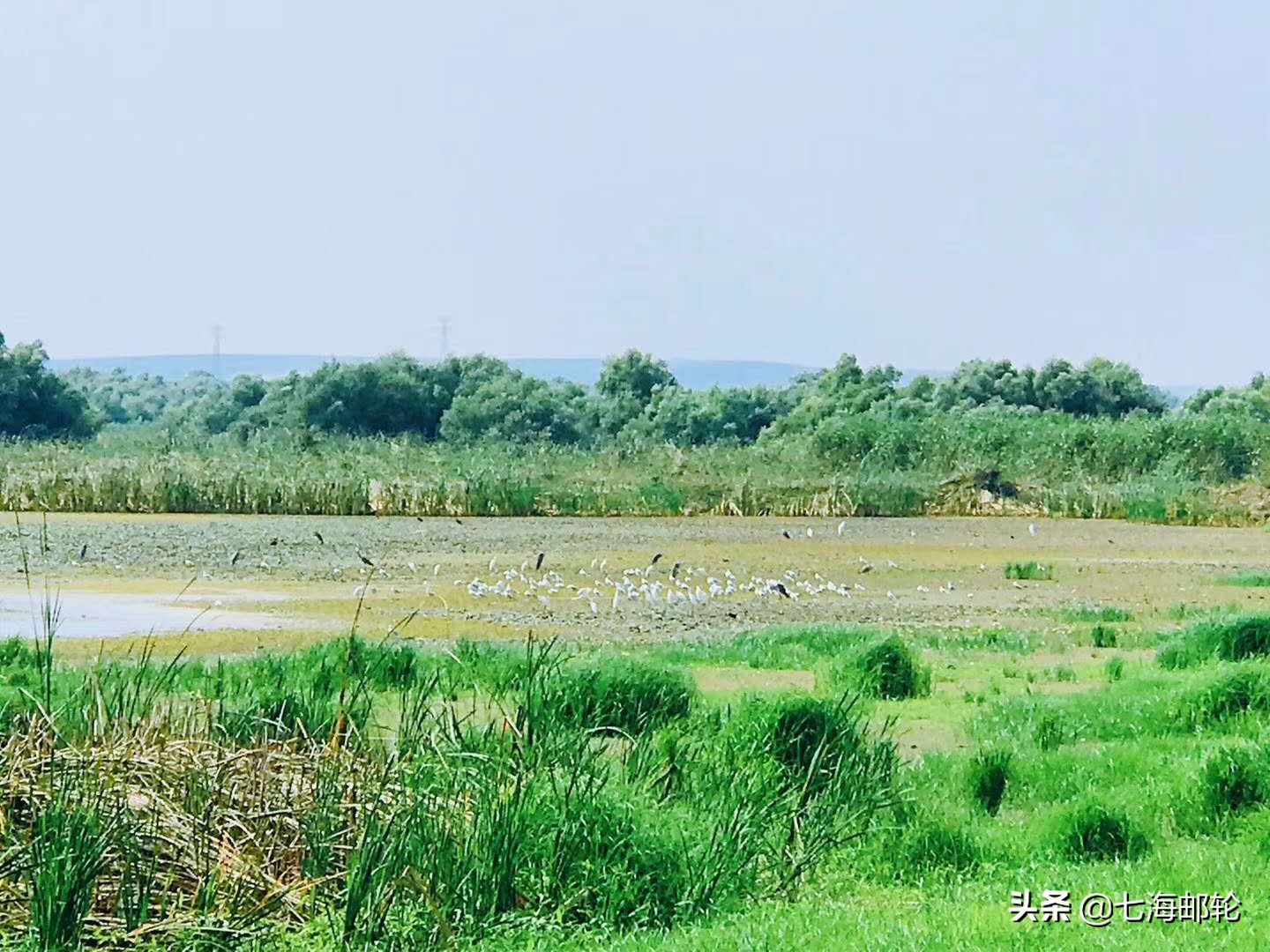 这才是真正的河流视频,这才是真正的碧蓝航线