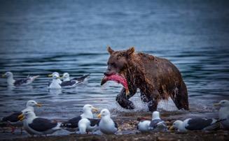 最牛沪c再出发,最牛沪c说明什么