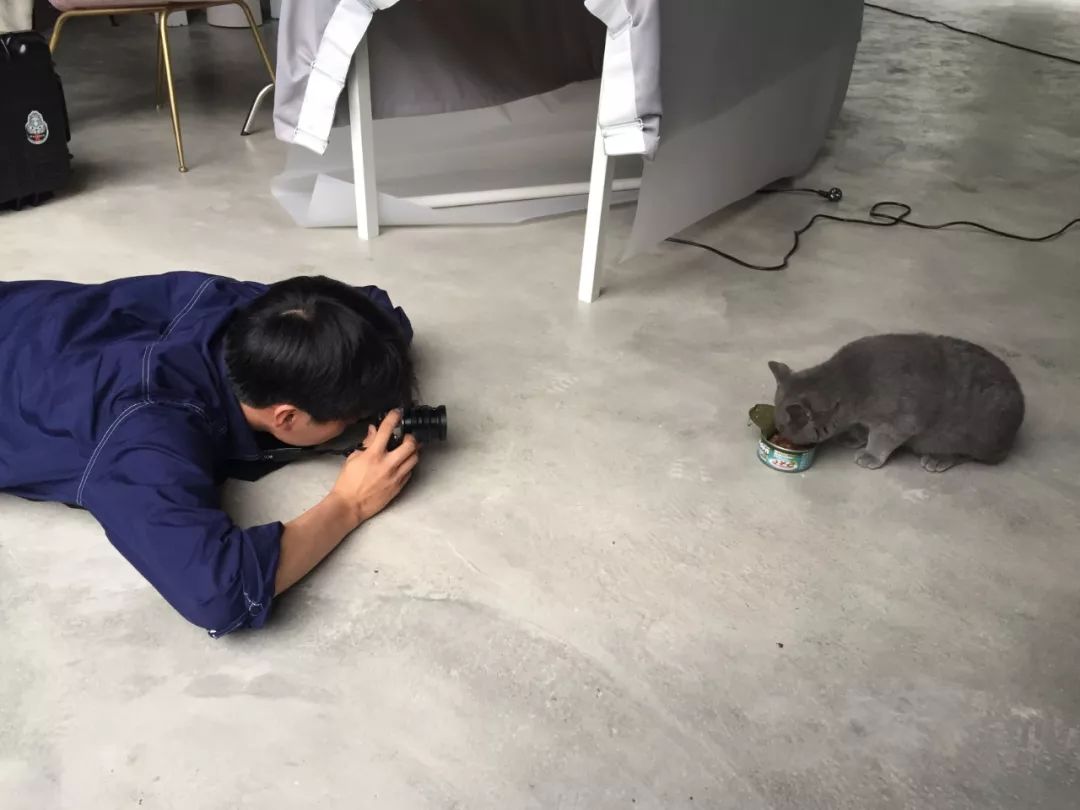 怎样学习摄影拍照技术,学习拍照技术技巧