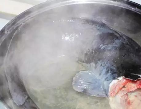 大蒜烧鲶鱼的家庭做法大全,大蒜烧鲶鱼怎么做好吃四川