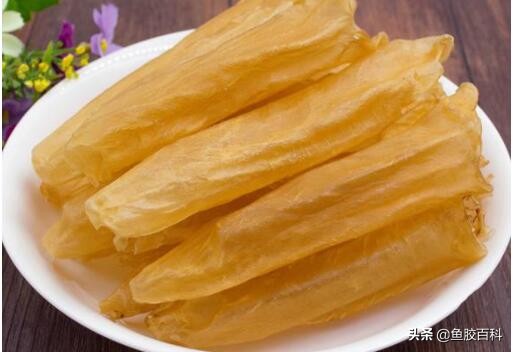 鱼胶花胶的家常做法,鱼胶花胶制作视频