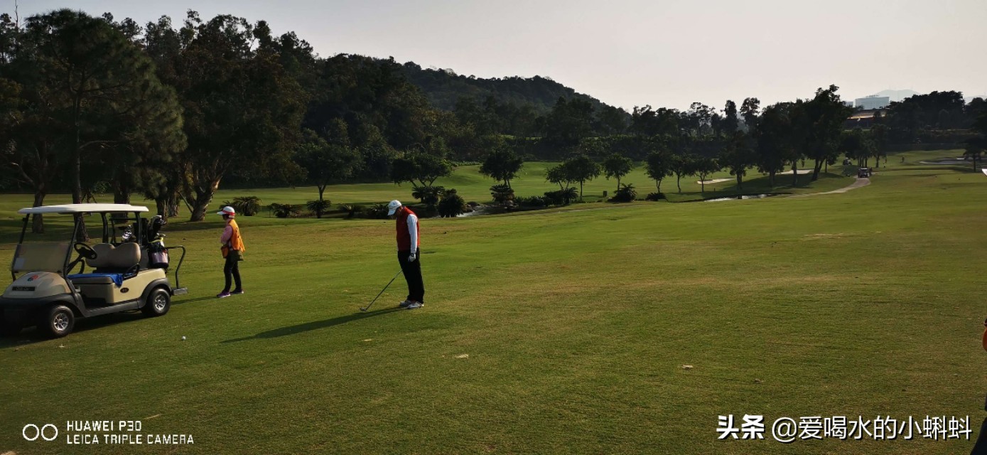 三分钟看懂高尔夫规则的视频,三分钟看懂高尔夫规则室内
