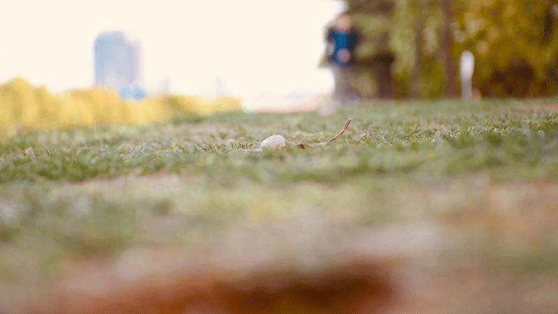 踏云追风,任你随心所欲:诺诗兰SKYECO徒步鞋体验