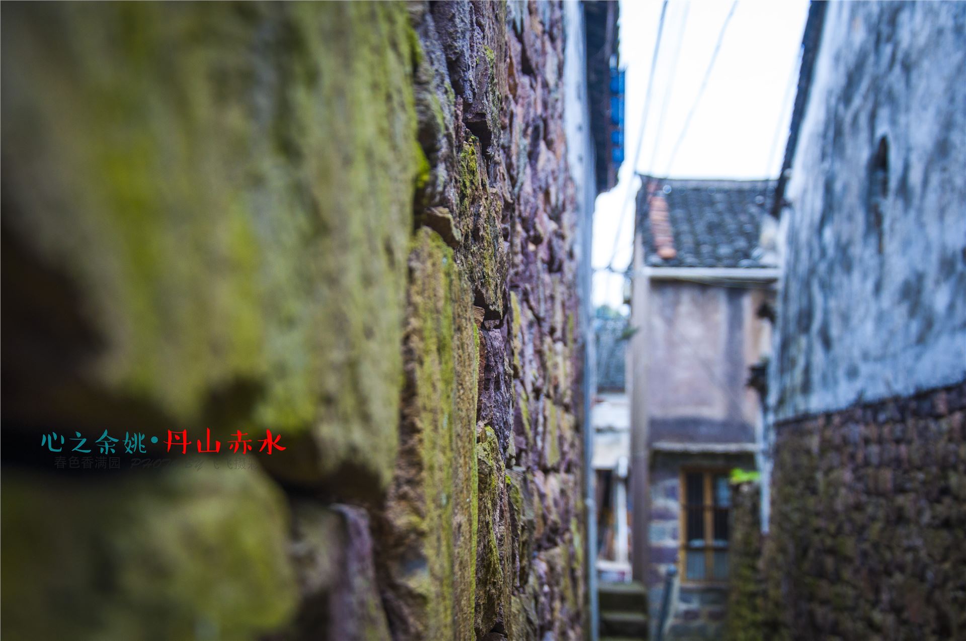 丹山赤水的老柿林景区,丹山赤水柿林古村