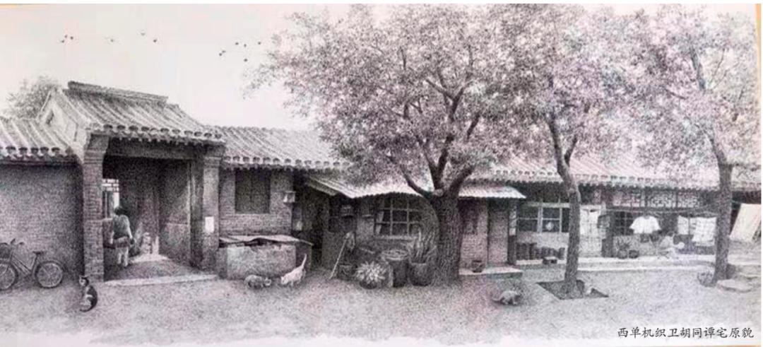 老字号菜系,揭秘名店的招牌菜