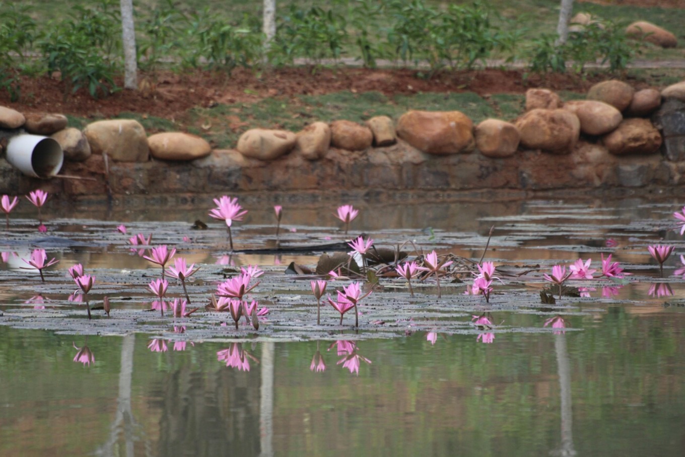 20161218桂林洋大学城返校记（那一年的海口青年户外）