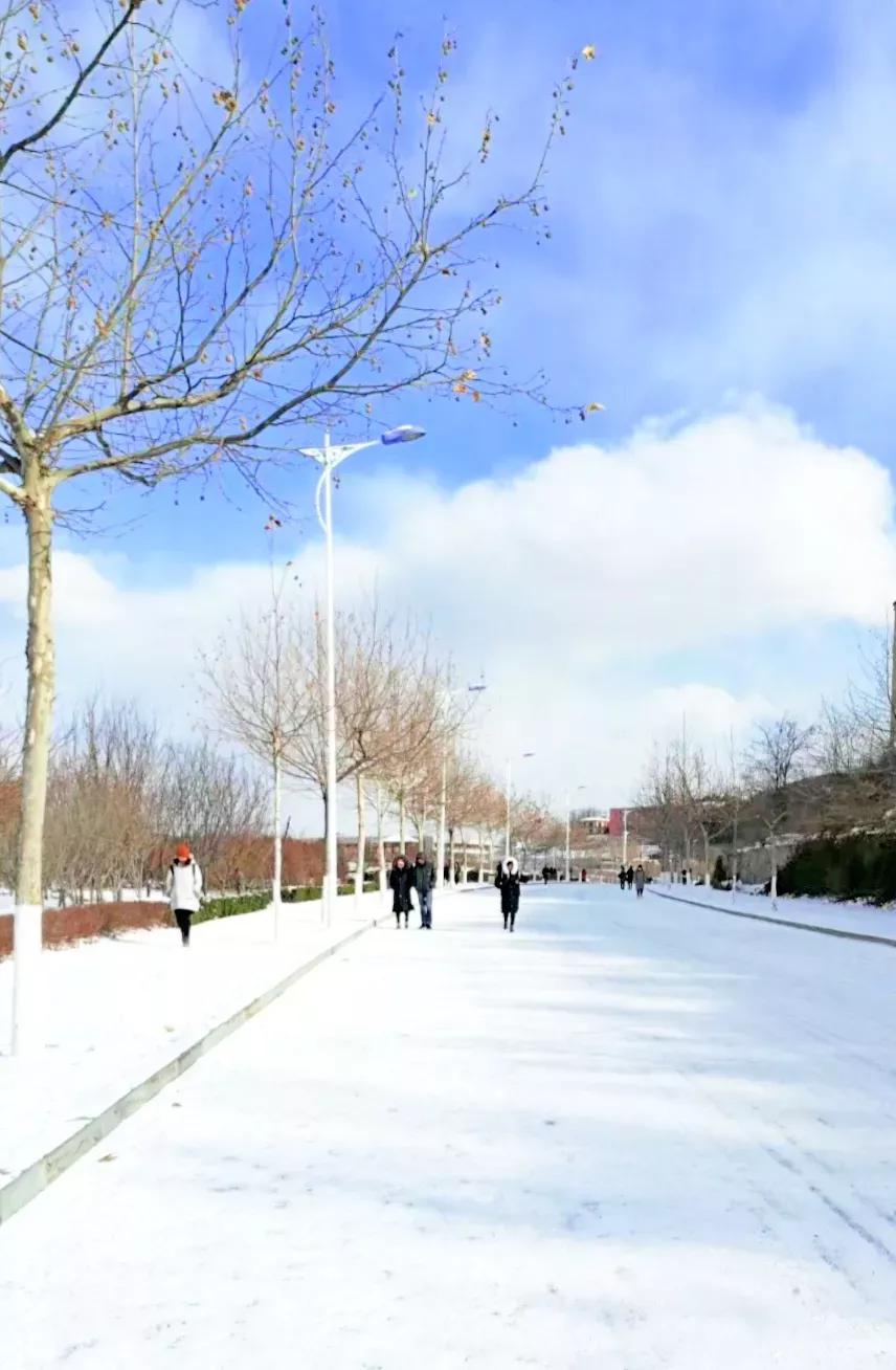 辽宁师范大学辽宁省一流课程,辽宁省普通高等院校