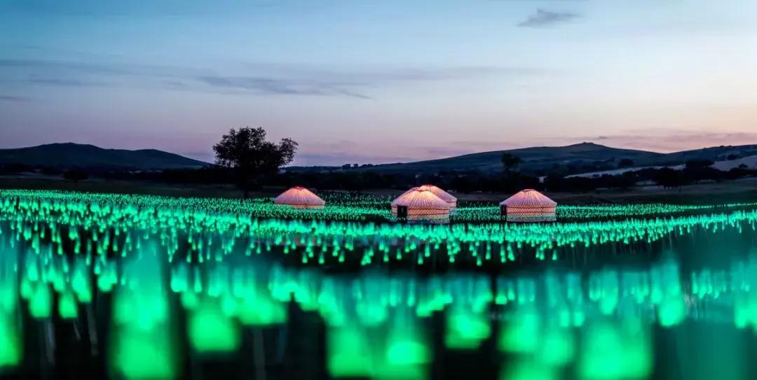 西贝征程与归途,西贝逆风前行