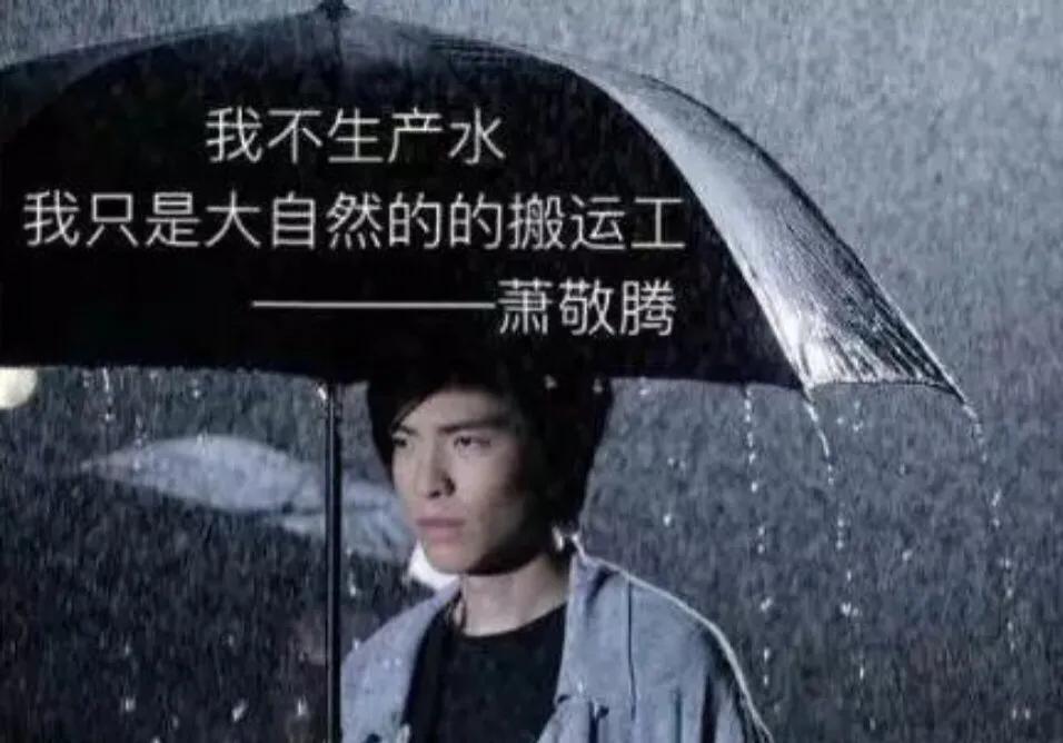 萧敬腾永不崩塌的雨神人设,萧敬腾雨神人设就没崩塌过吗