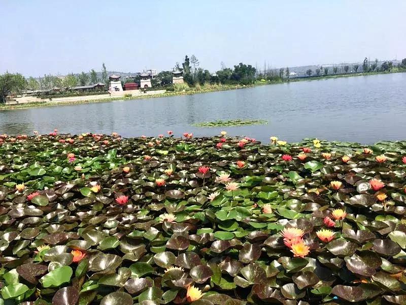 陕西韩城港青旅国际旅行社,港青旅港澳游5日纯游旅游团