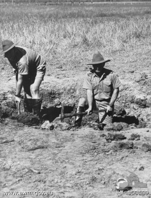 用数字说话：欧洲明星喷火和亚洲空霸零战哪家强？