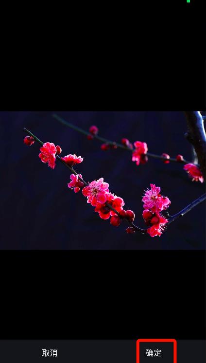 手机修图怎么修成油画感,艺术照片后期修图教程